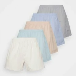 Pier One Hombre 5 PACK - Boxer - Purple/blue/lilac