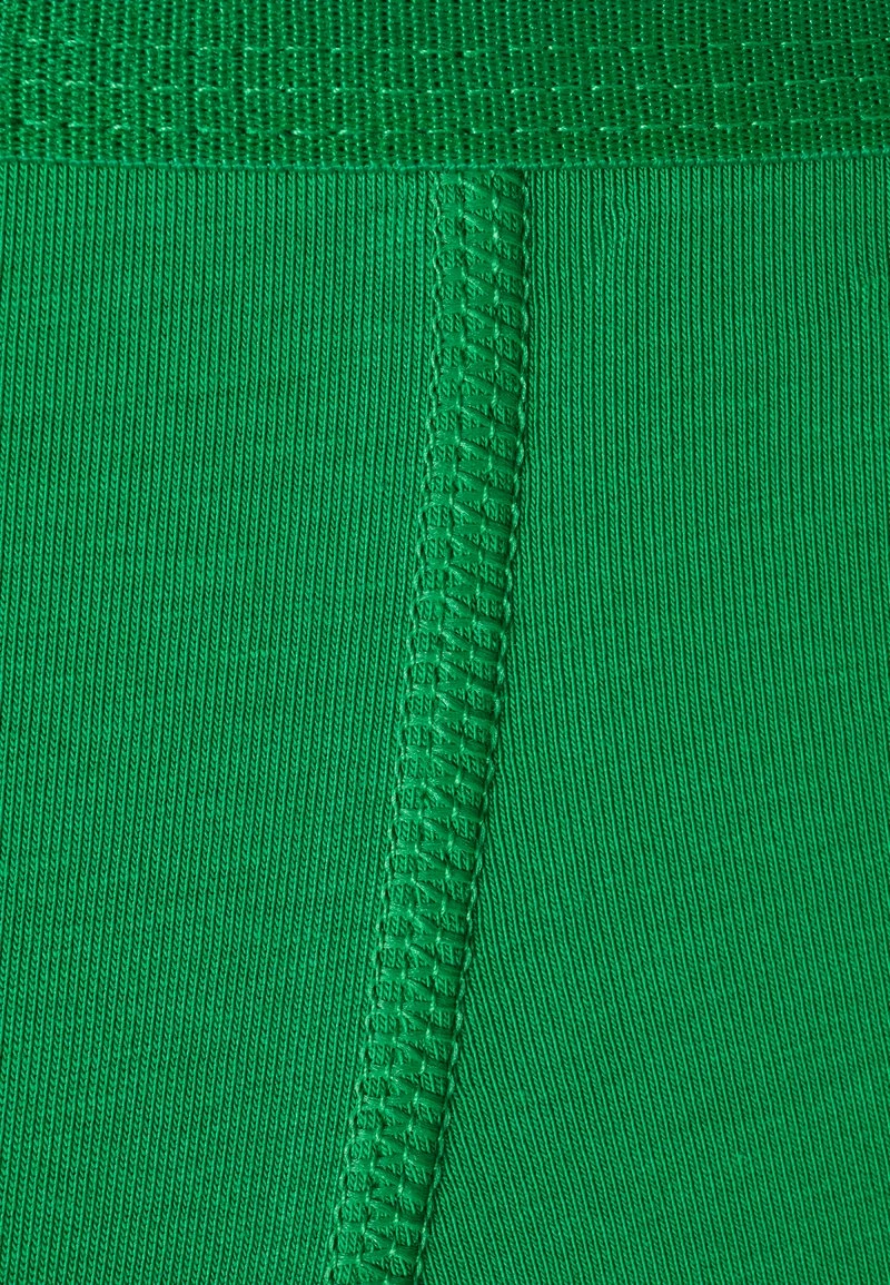 Pier One Hombre 5 PACK - Culotte - Blue/green/purple - Imagen 7