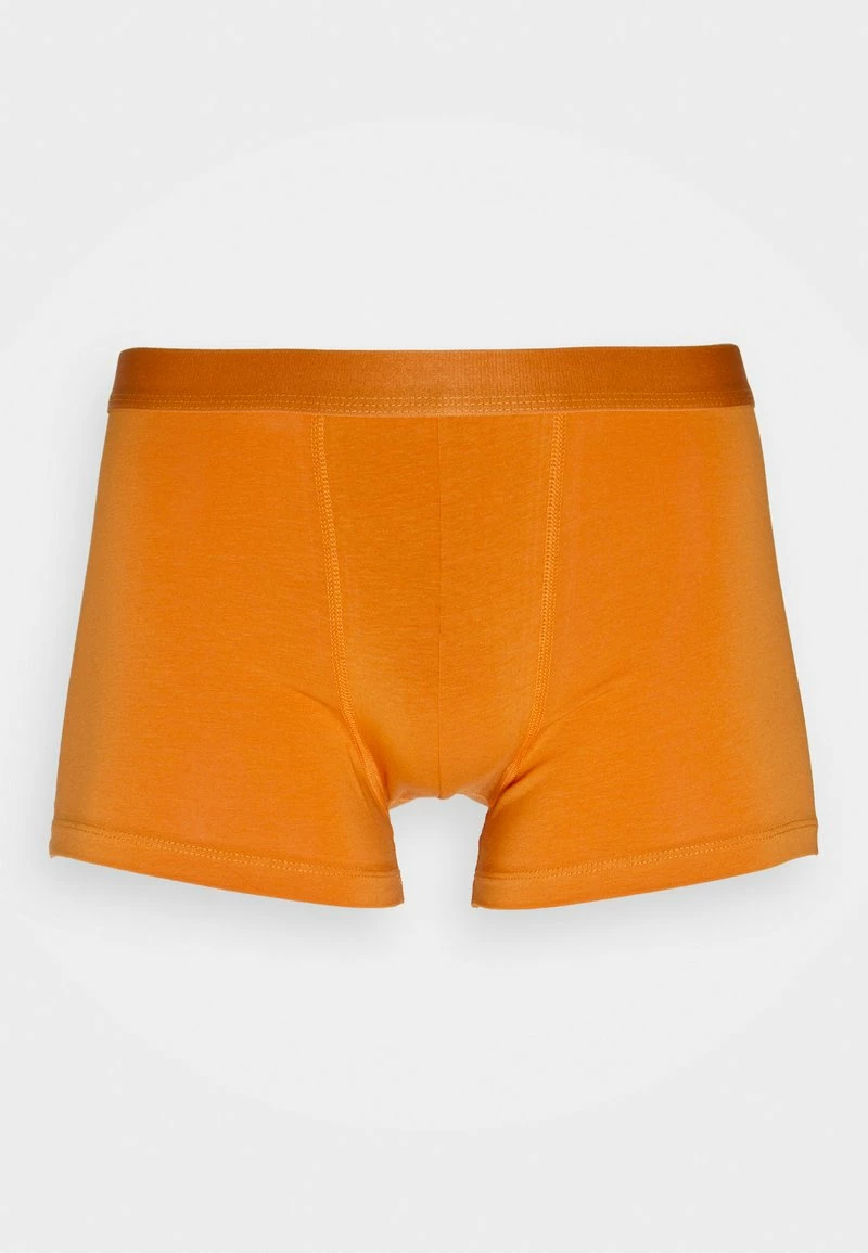 Pier One Hombre 5 PACK - Culotte - Blue/green/purple - Imagen 6