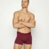Pier One Hombre 3 PACK - Culotte - Dark Blue/bordeaux/black